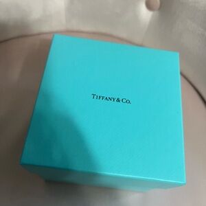 Tiffany & Co. Turquoise Gift Box